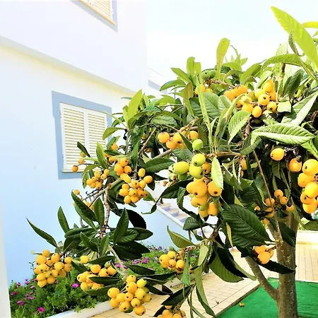 Ventura Marina 阿尔布费拉