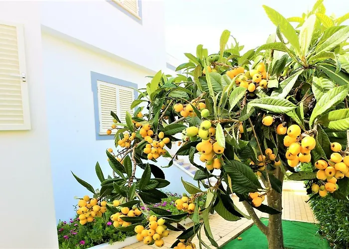 Ventura Marina Albufeira